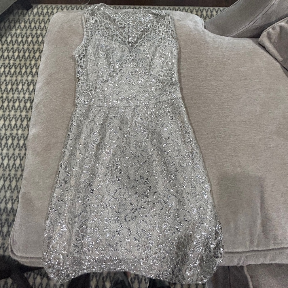 BCBG Silver Lace Dress Size 2P